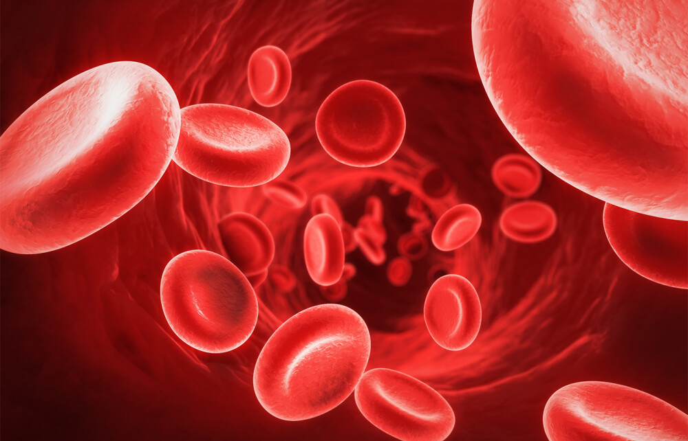 Grupele sanguine | Human Anatomy Quiz - Quizizz