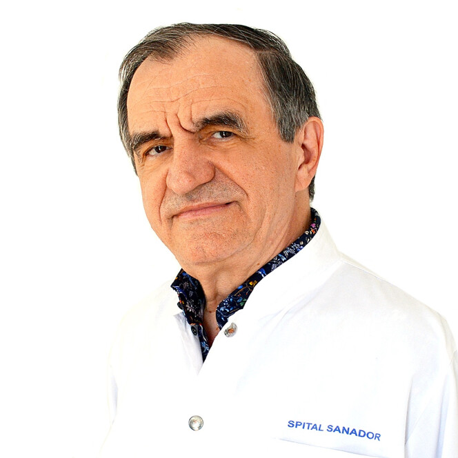 Prof. Dr. Teodor Horvat